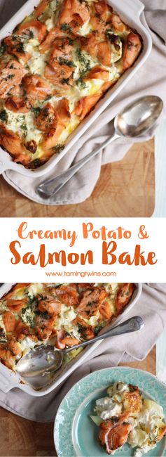 Creamy Salmon Bake