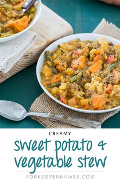 Creamy Sweet Potato and Vegetable Stew