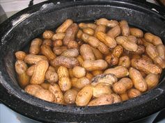 Crock Pot Boiled Peanuts