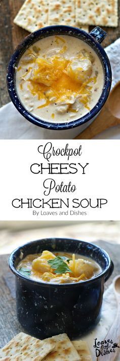 Crockpot Cheesy Potato and Chicken Soup