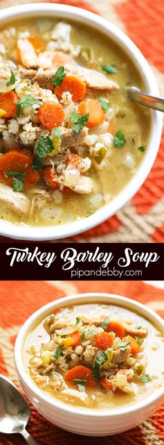 Crockpot Turkey Barley Soup