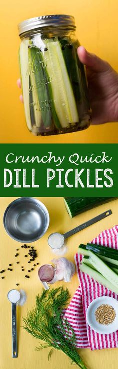 Crunchy Quick Dill Pickles