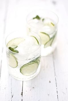 Cucumber-Mint Gin and Tonic