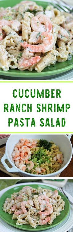 Cucumber Ranch Shrimp Pasta Salad