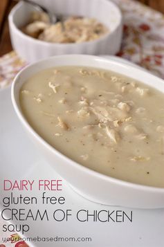 Dairy Free Gluten Free Cream of Chicken Soup