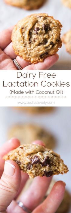 Dairy Free Lactation Cookies