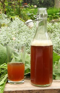 Dandelion and burdock beer