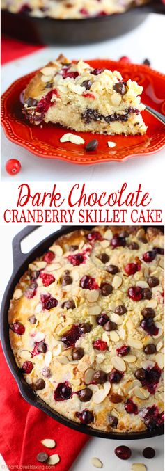 Dark Chocolate Cranberry Skillet Cake