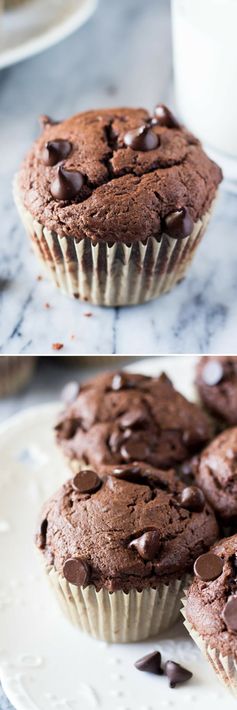 Double Chocolate Muffins