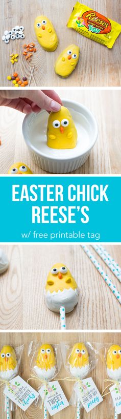 Easter Chick Treats