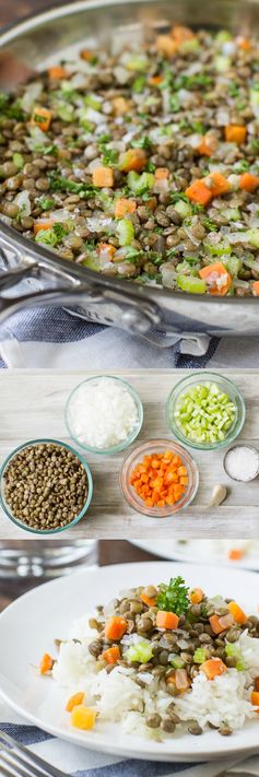 Easy Brown Lentils