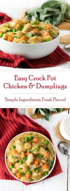 Easy Crock Pot Chicken and Dumplings