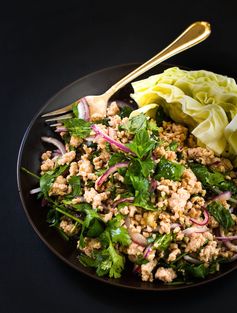 Easy Larb Chicken Recipe with Chicken