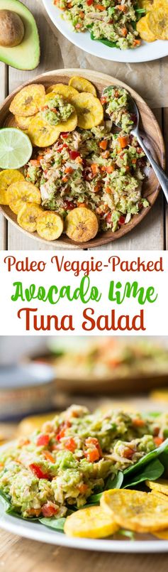 Easy Paleo Avocado Lime Tuna Salad