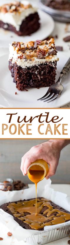 Easy Turtle Poke Cake