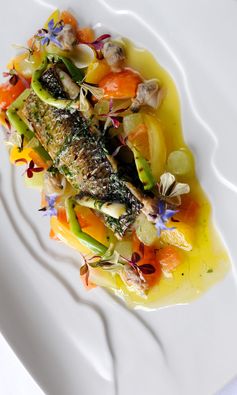 Fillet of silver mullet with grilled spring onions, cucumber, confit tomatoes and sauce vierge