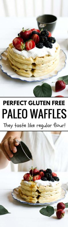 Fluffy Paleo Belgian Waffles