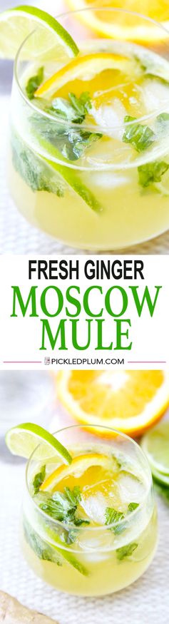 Fresh Ginger Moscow Mule