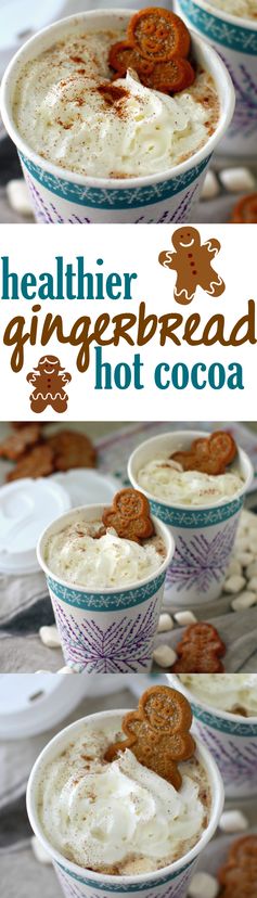 Gingerbread Hot Cocoa (Naturally Sweetened