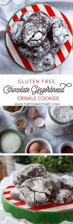 Gluten Free Chocolate Crinkle Cookies with Gingerbread Spice