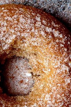 Gluten-Free Cinnamon Sugar Cake Doughnuts