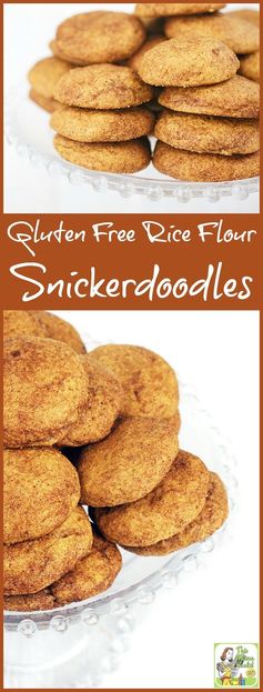 Gluten Free Rice Flour Snickerdoodles