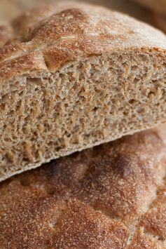 Golden Whole Wheat Bread