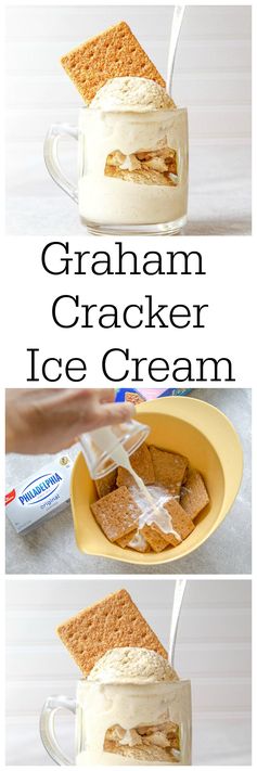 Graham Cracker Ice Cream