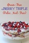 Grain Free Berry Trifle Recipe (Paleo, GF, Dairy Free, Nut Free