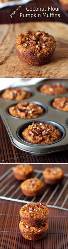 Grain-Free Coconut Flour Pumpkin Muffins