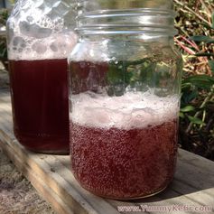 Grape Kefir Soda