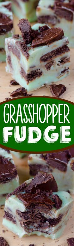 Grasshopper Fudge