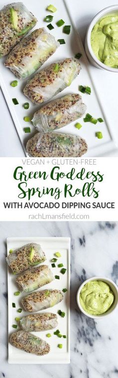 Green Goddess Spring Rolls with Avocado Dipping Sauce