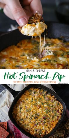 Ham & Cheese Hot Spinach Dip