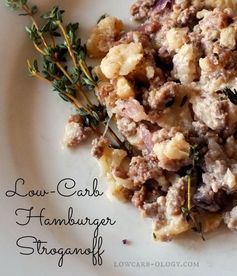 Hamburger and Cauliflower Stroganoff