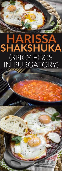 Harissa Shakshuka (North African Eggs in Purgatory