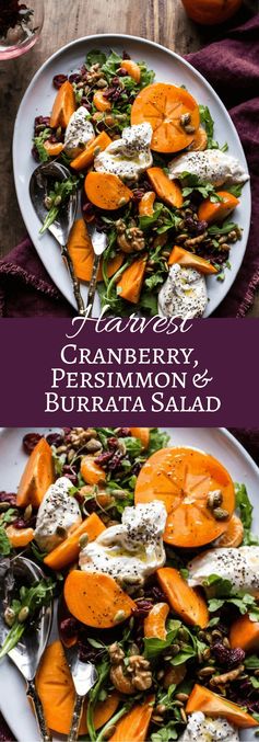 Harvest Cranberry, Persimmon and Burrata Salad
