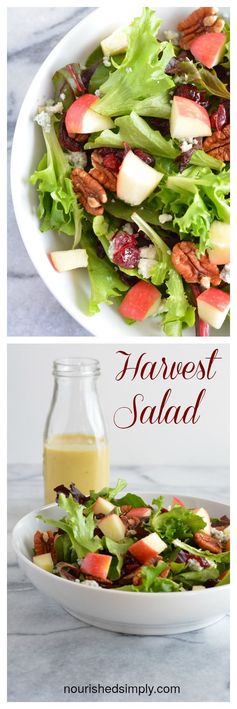 Harvest Salad with Apple Dijon Dressing