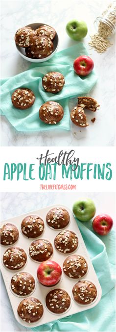 HEALTHY Apple Spice Muffins