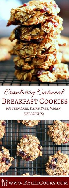 Healthy Cranberry Oatmeal Breakfast Cookies (with Video!