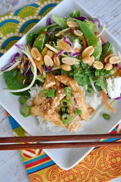 Healthy Slow Cooker Teriyaki Chicken with Ginger Bok Choy Salad