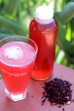 Hibiscus Tea Kombucha