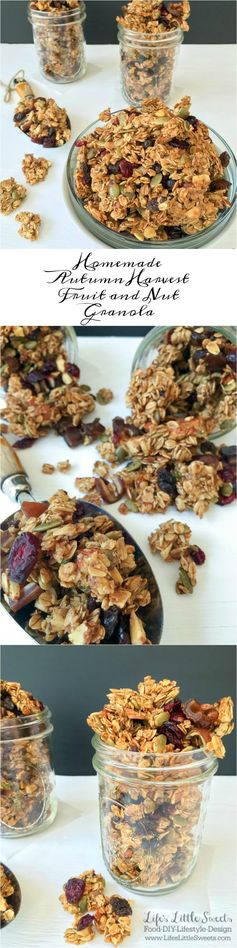 Homemade Autumn Harvest Fruit and Nut Granola