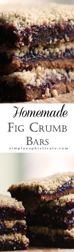 Homemade Fig Crumb Bars