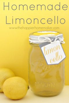 Homemade Limoncello-DIY Gift Idea