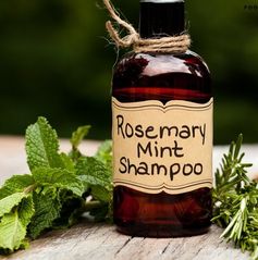 Homemade Rosemary Mint Shampoo