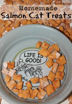 Homemade Salmon Cat Treats