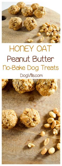 Honey Oat Peanut Butter Dog Treat Recipe, No Oven Required