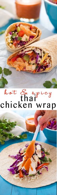 Hot & Spicy Thai Chicken Wrap