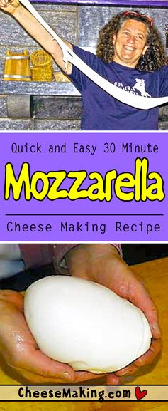 How to Make 30 Minute Mozzarella Cheese